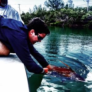 Meet your Posher, Kurtis